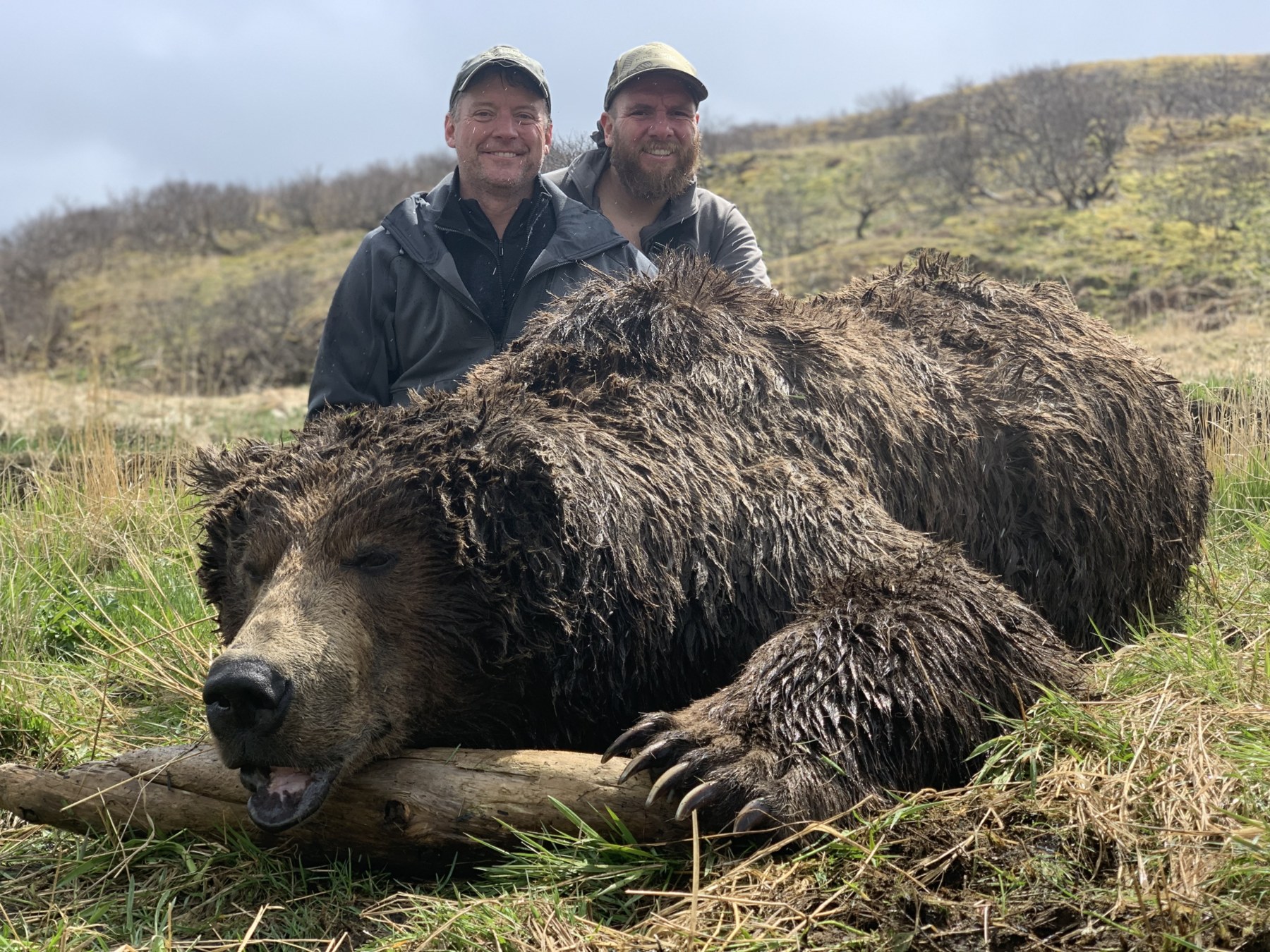 Brown bear hunt