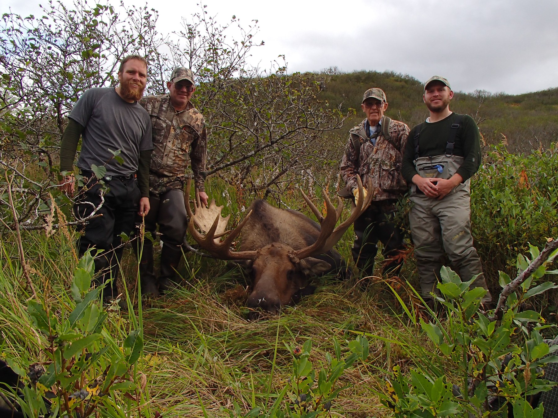 Group moose hunt photo